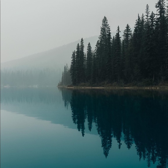 Meet your Posher, Krysten - Picture 1 of 1